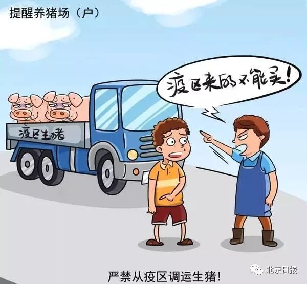 突发起来的疫情