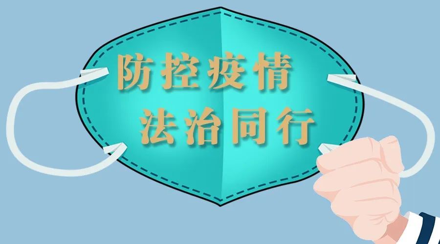 隔离围墙内的教育突围，疫情下家教生活的113天精神实验
