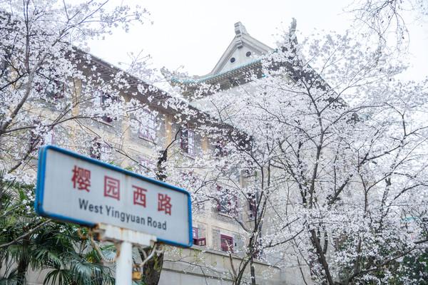 疫情为何戛然而止，科学、社会与未知的交织