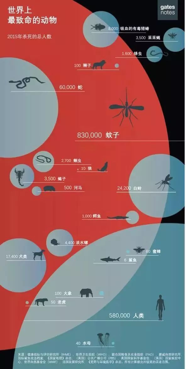 疫情纪年，人类与无形之敌的三年拉锯战