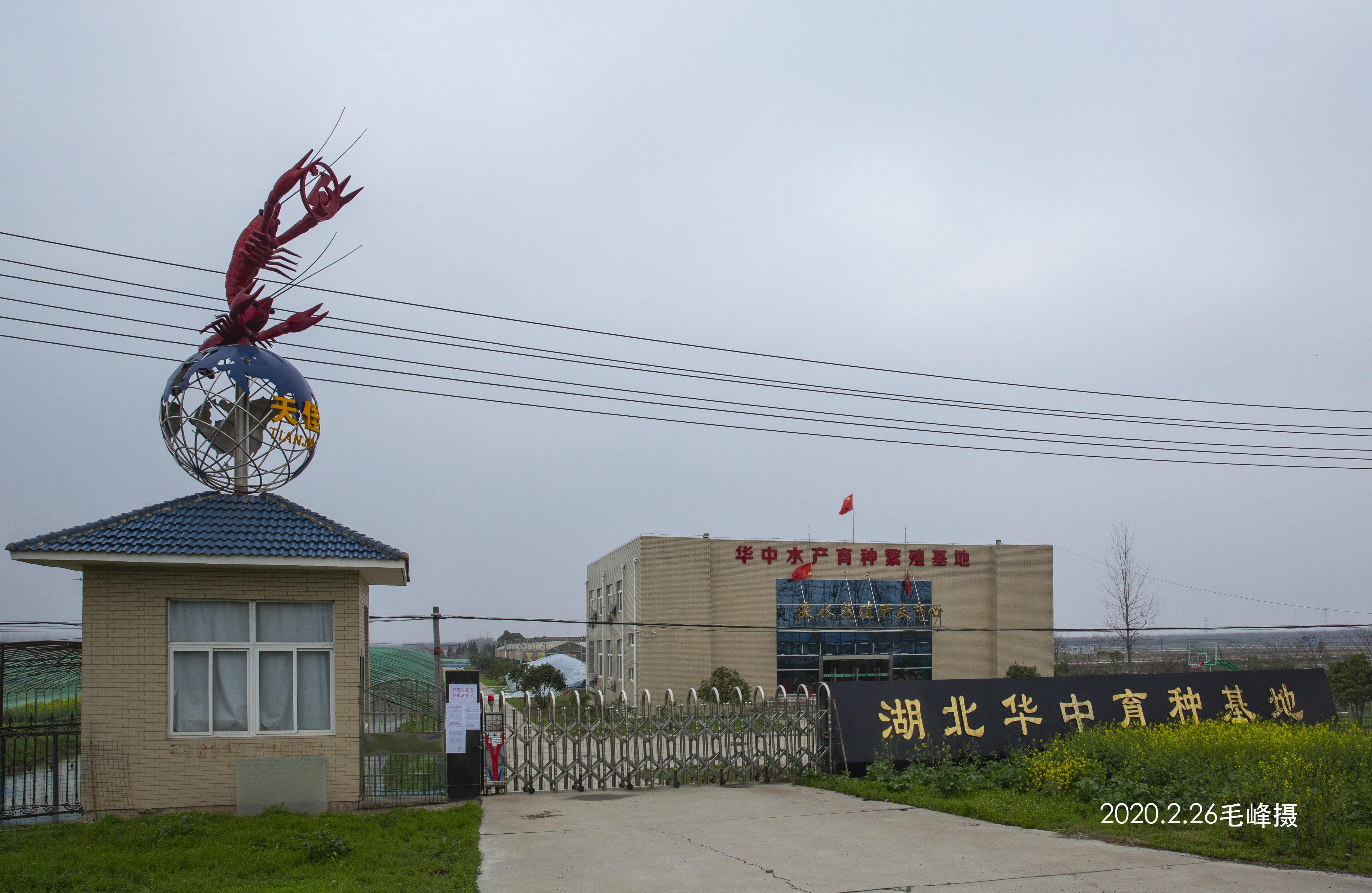 封城76天，武汉抗疫记忆中的时间刻度