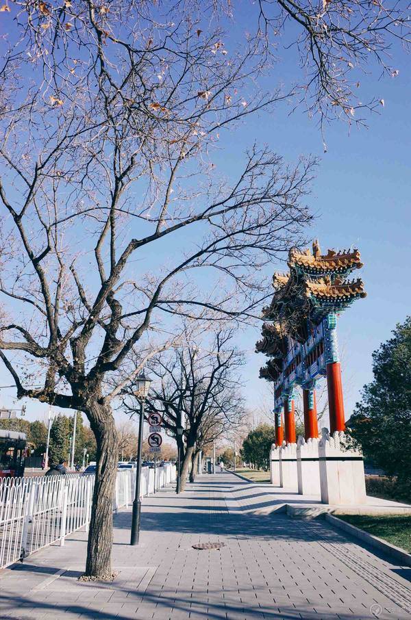 2020北京疫情，一场没有倒计时的等待