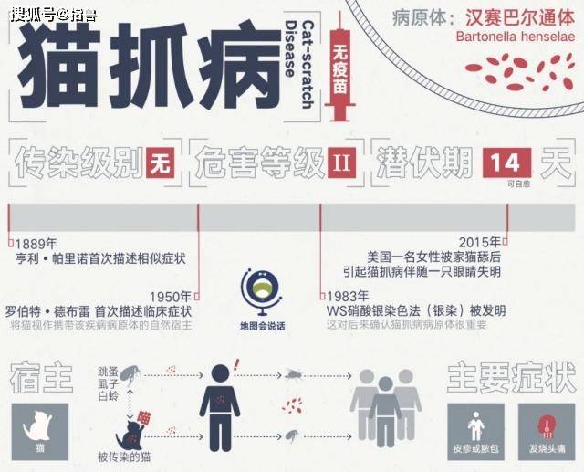 溯源时光，人类与病毒较量的起点在哪里？