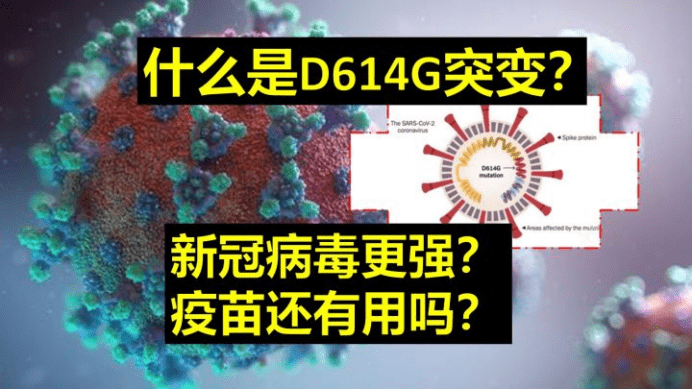 溯源时光，人类与病毒较量的起点在哪里？
