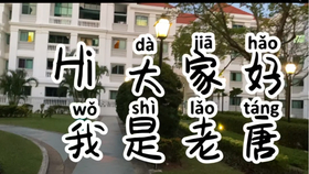 疫情期间的免税政策是什么样的