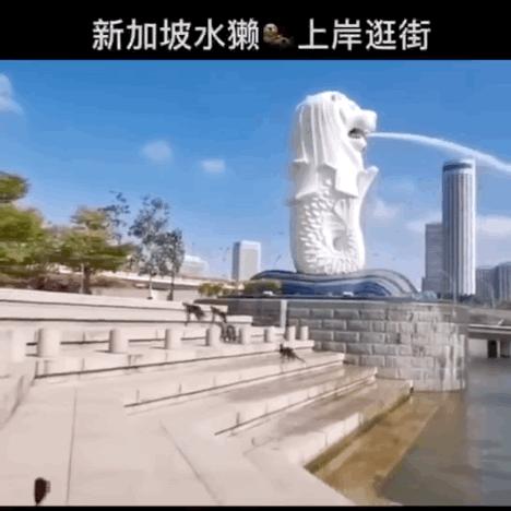 封城时刻，疫情封锁背后的时间线与全球应对