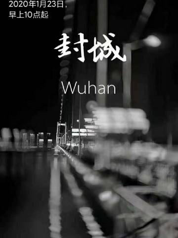 封城日记，武汉按下暂停键的那一天