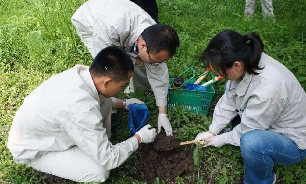 疫情风控，一场始于未知却终将铭刻于人类集体记忆的全球行动