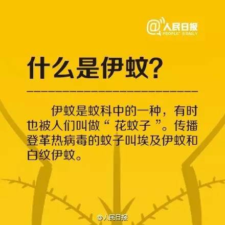 数字背后的故事，全球疫情感染人数与人类韧性的较量