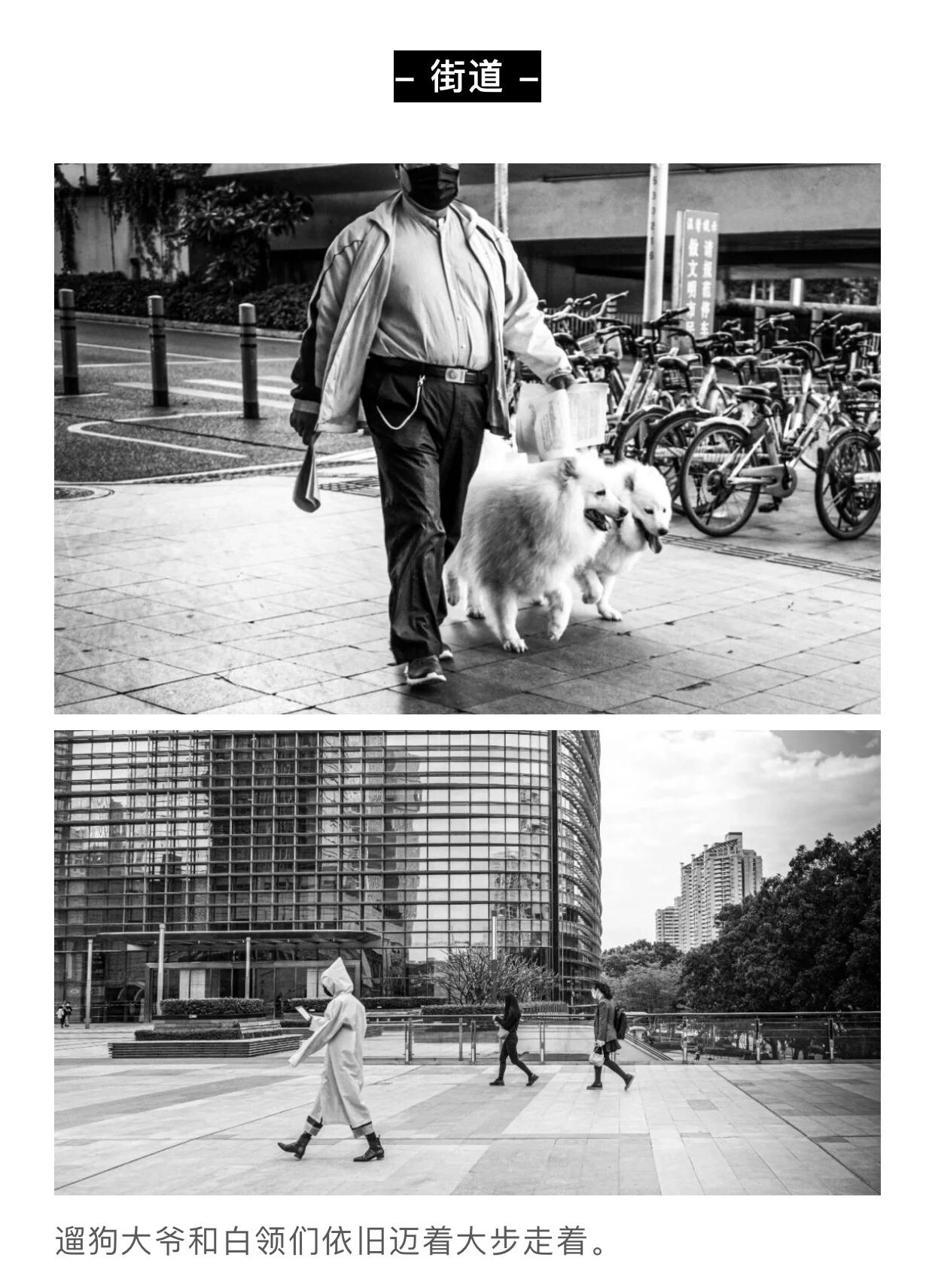 中国疫情，一段集体记忆的起止时间