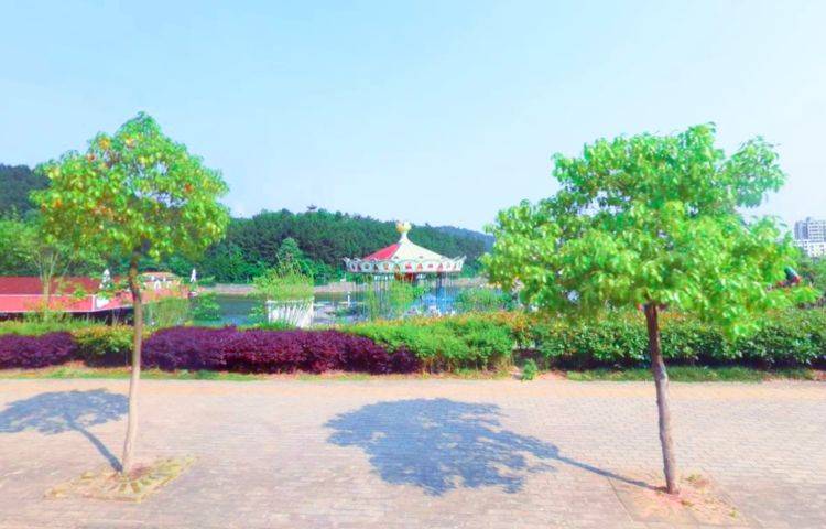 封城记忆，那些被按下暂停键的日子