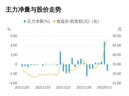 疫情期间股票上涨最多的
