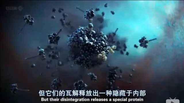病毒与人类，一场永不停息的微观战争
