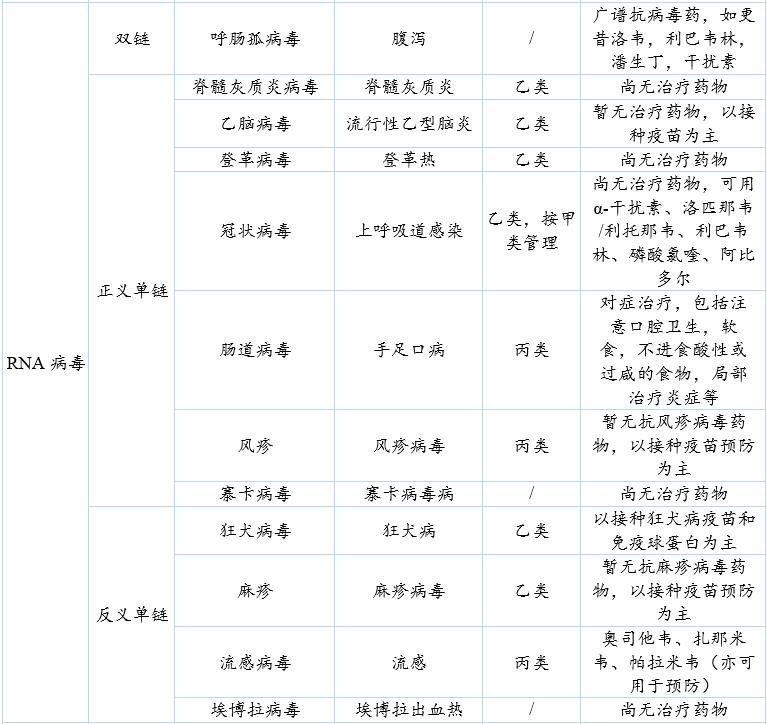 病毒纪元的起点，我们该如何重新理解新寇疫情的起始时刻？