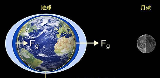 2020年1月23日，人类集体记忆中的分水岭时刻
