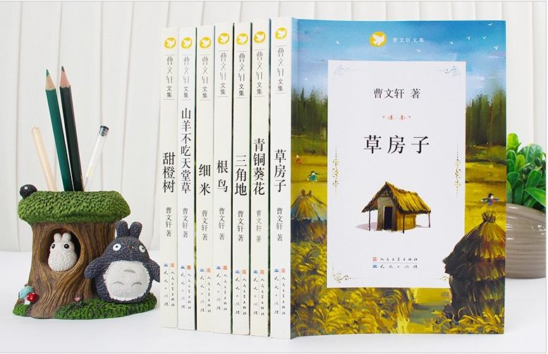 隔离日记，当世界只剩下四堵墙