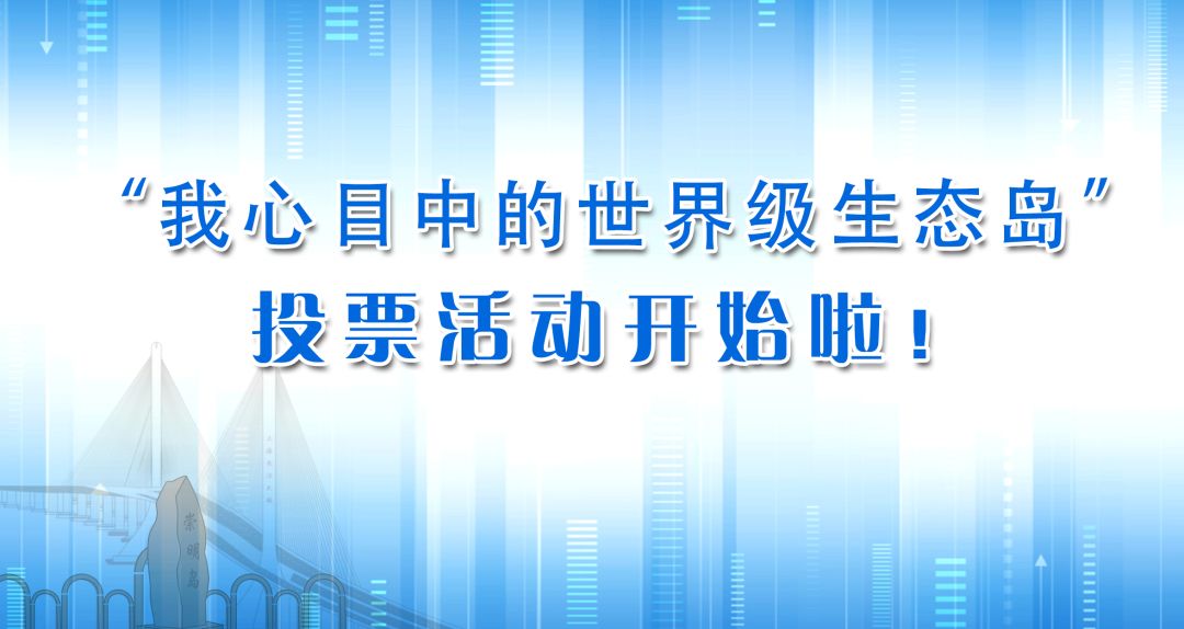 封城记忆，2020年1月23日，那个改变世界的清晨