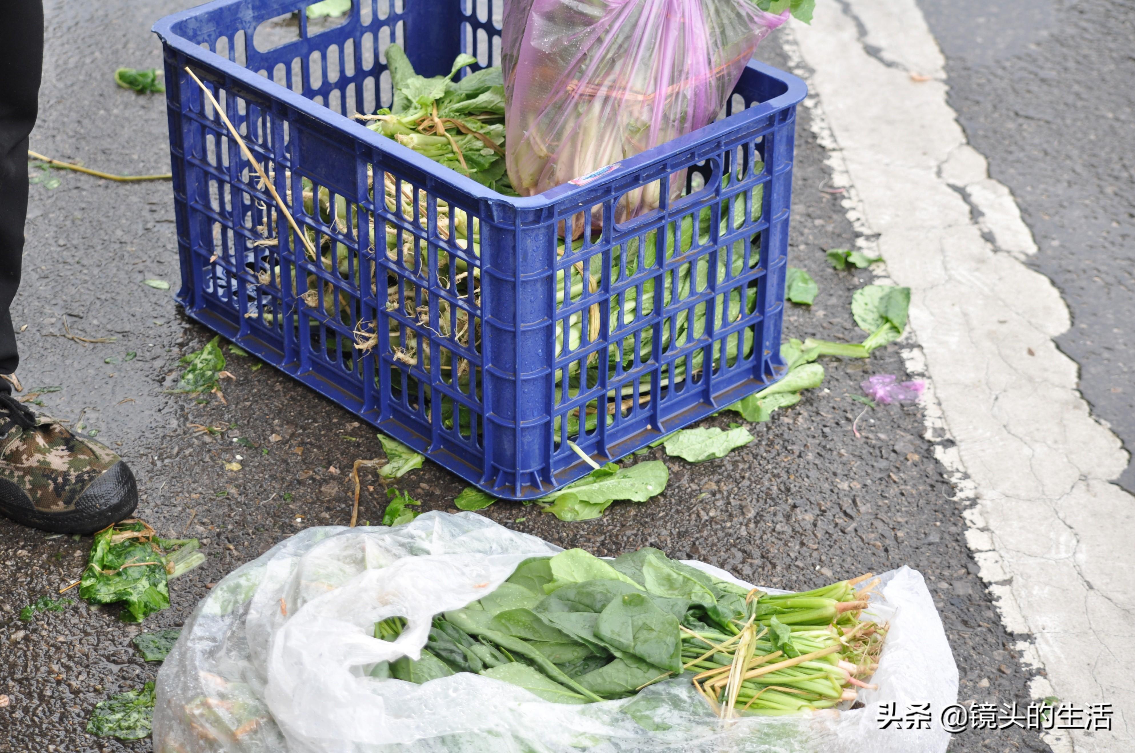 解封元年，当自由突然降临，我们为何反而手足无措？