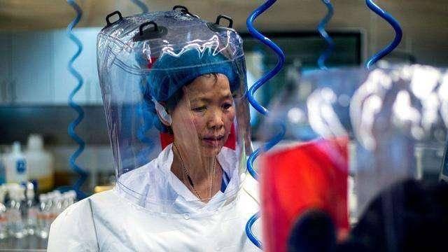 武汉新冠疫情，时间迷雾中的真相与启示