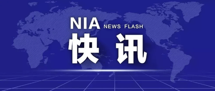重庆澳门疫情防控成效显著，经济复苏稳步前行
