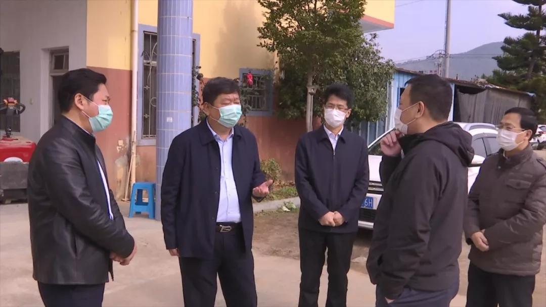 辽宁石家庄，疫情防控与最新政策综述