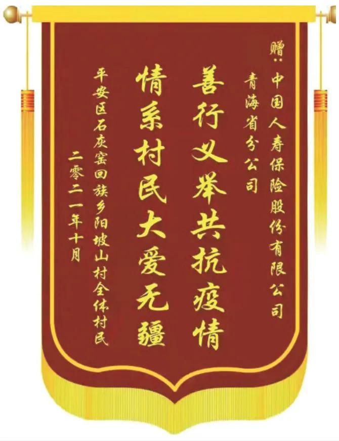 青海与香港疫情报告，防控挑战与应对策略