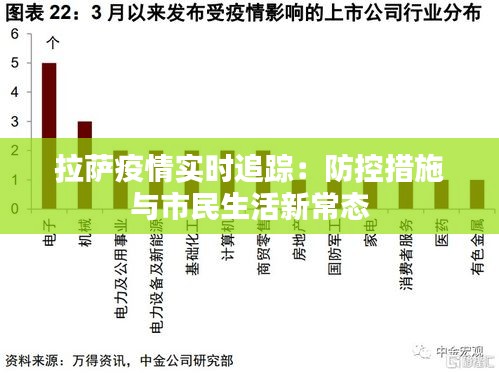 拉萨疫情防控最新数据，全面剖析疫情现状与防控成效