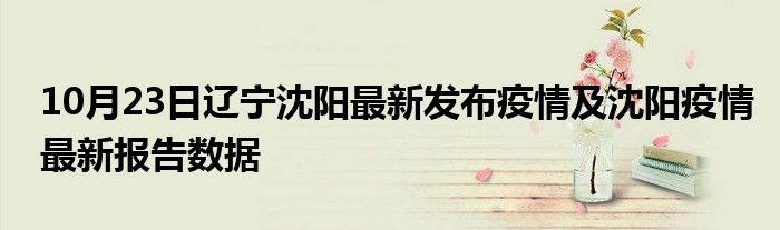 沈阳今日新增病例情况分析