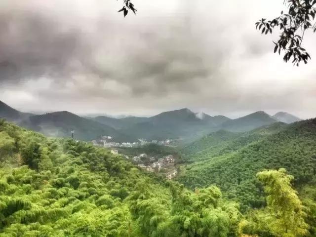 上海最新动态，城市生活与经济发展持续升温