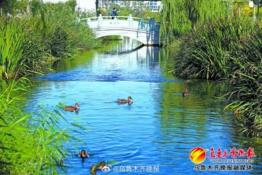 乌鲁木齐水利厅，守护水资源的绿色使命
