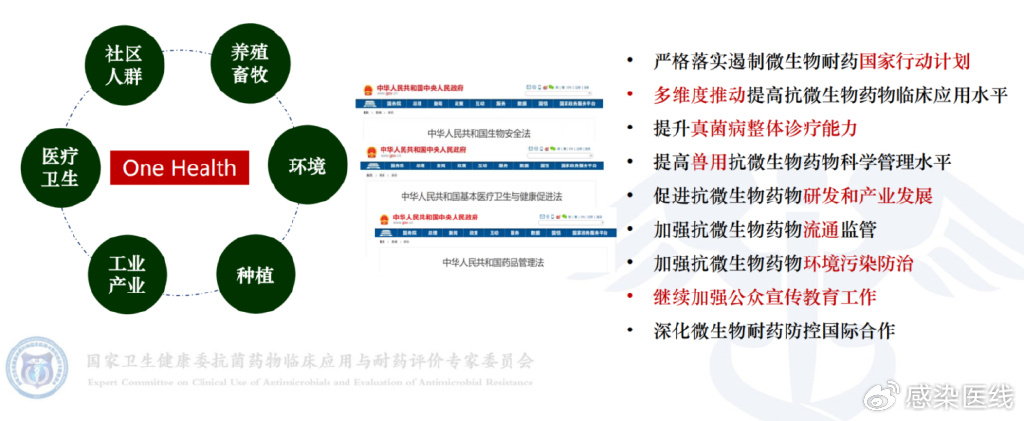 2024年12月疫情，科学用药与健康防护指南