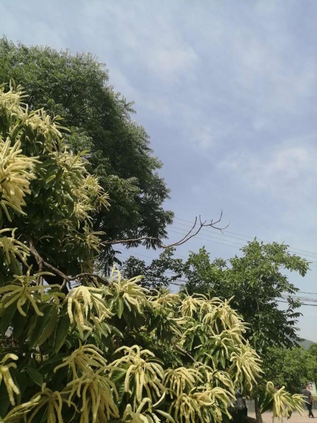 疫情何时开始？一场被遗忘的边界与记忆的博弈