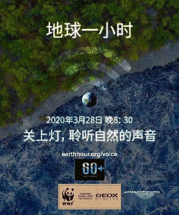 2020，当人类集体按下暂停键