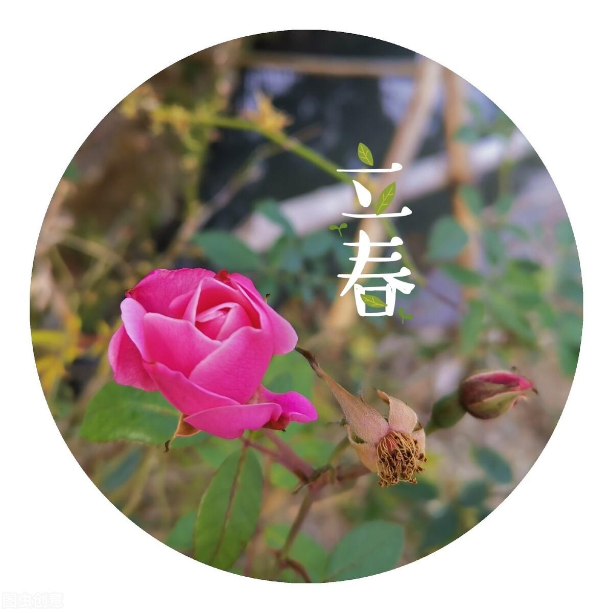 疫情纪年，从第一例到最后一例的全球记忆