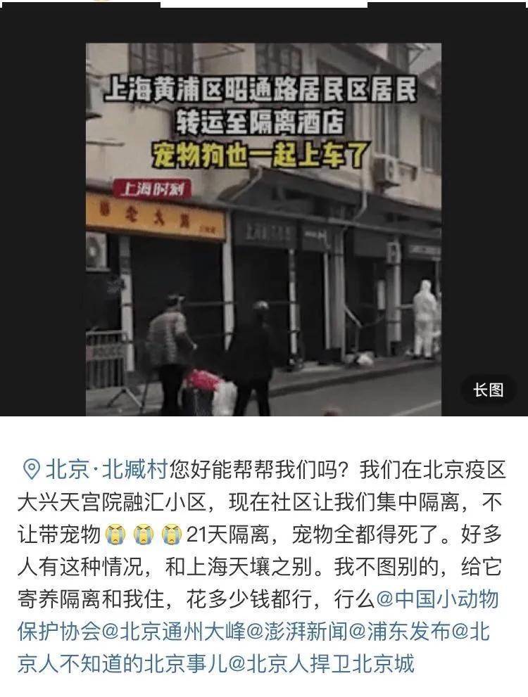 隔离的屋檐下，疫情如何重塑了家的基因密码