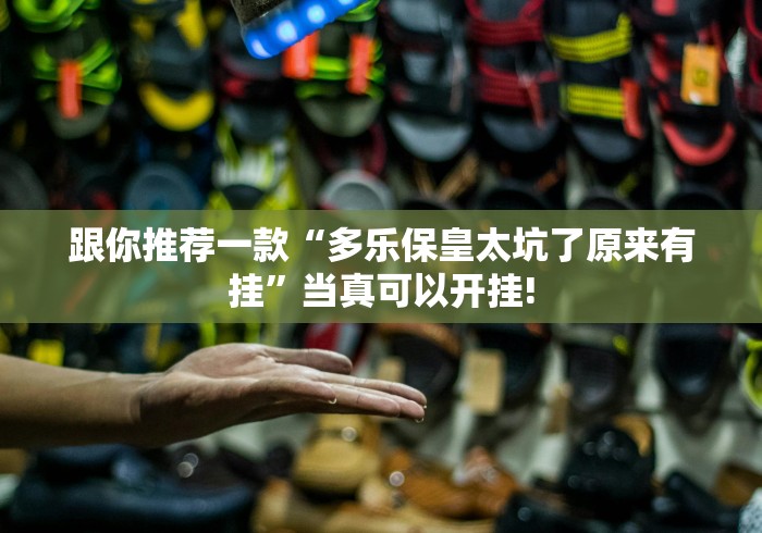 跟你推荐一款“多乐保皇太坑了原来有挂”当真可以开挂! 跟你推荐一款“多乐保皇太坑了原来有挂”当真可以开挂!