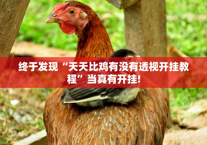 今日分享“蛮籽麻将确实可以开挂”原来确实有开挂!