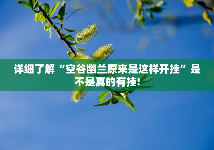 详细了解“空谷幽兰原来是这样开挂”是不是真的有挂!