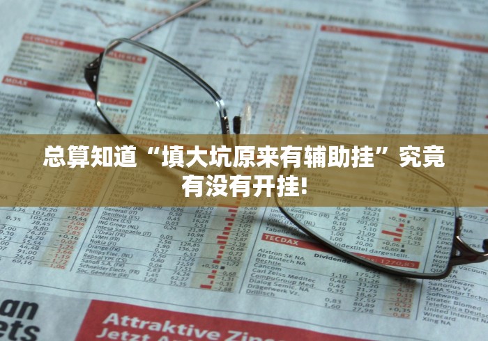 总算知道“填大坑原来有辅助挂”究竟有没有开挂! 总算知道“填大坑原来有辅助挂”究竟有没有开挂!