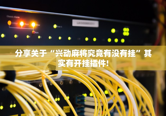 分享关于“兴动麻将究竟有没有挂”其实有开挂插件! 分享关于“兴动麻将究竟有没有挂”其实有开挂插件!