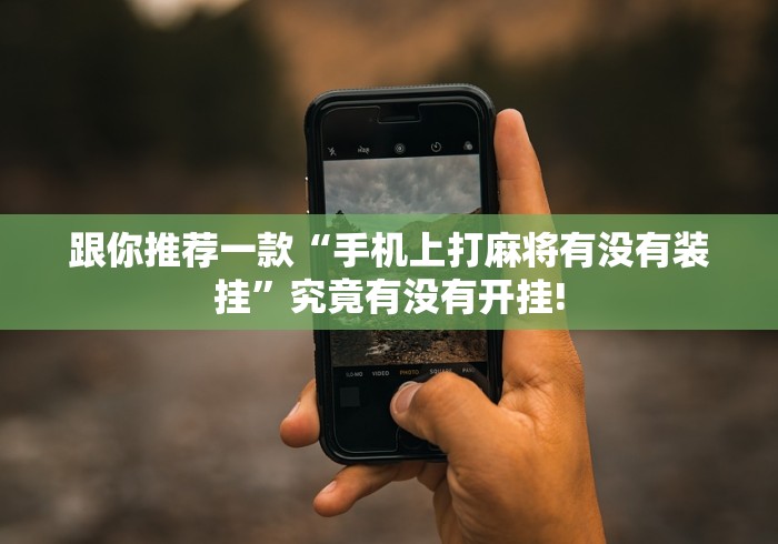 跟你推荐一款“手机上打麻将有没有装挂”究竟有没有开挂!