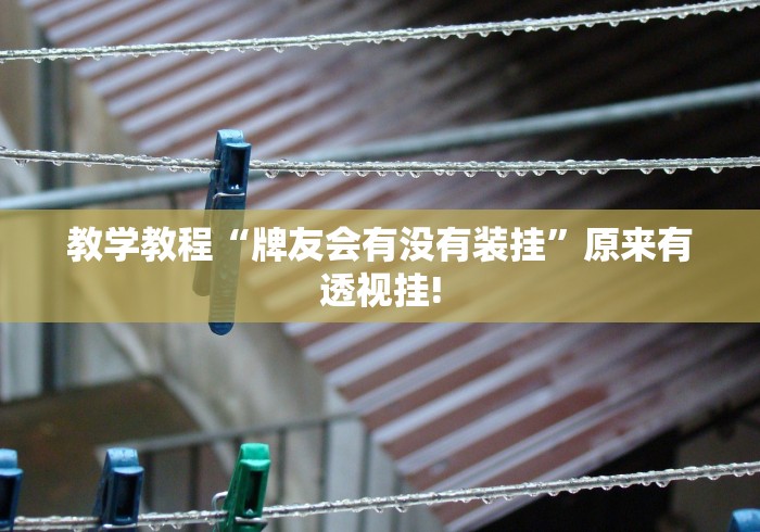 教学教程“牌友会有没有装挂”原来有透视挂! 教学教程“牌友会有没有装挂”原来有透视挂!