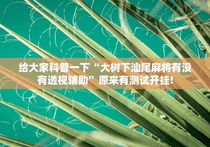 给大家科普一下“大树下汕尾麻将有没有透视辅助”原来有测试开挂!