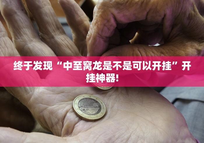 终于发现“中至窝龙是不是可以开挂”开挂神器!