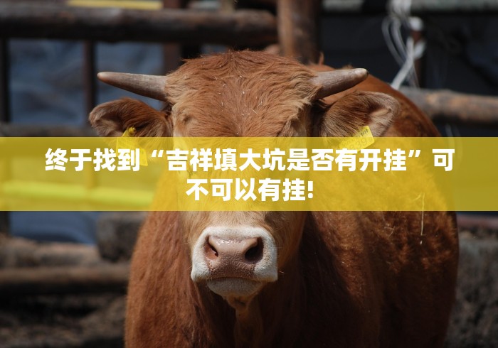 终于找到“吉祥填大坑是否有开挂”可不可以有挂!