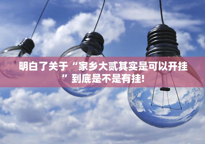 明白了关于“家乡大贰其实是可以开挂”到底是不是有挂! 明白了关于“家乡大贰其实是可以开挂”到底是不是有挂!