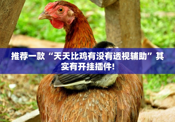 推荐一款“天天比鸡有没有透视辅助”其实有开挂插件!