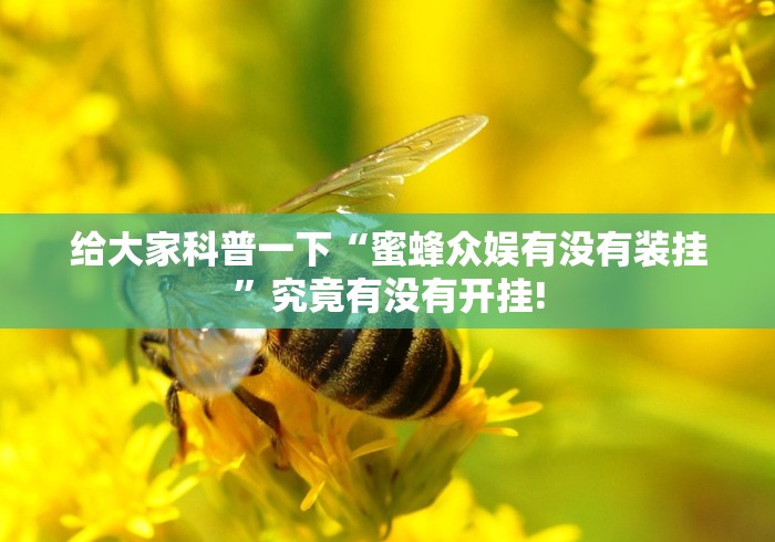 给大家科普一下“蜜蜂众娱有没有装挂”究竟有没有开挂!