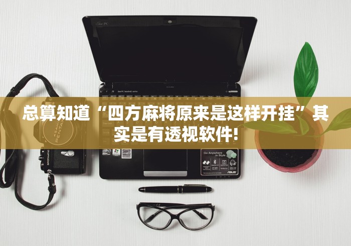 总算知道“四方麻将原来是这样开挂”其实是有透视软件!