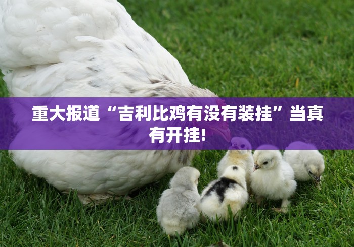 重大报道“吉利比鸡有没有装挂”当真有开挂!